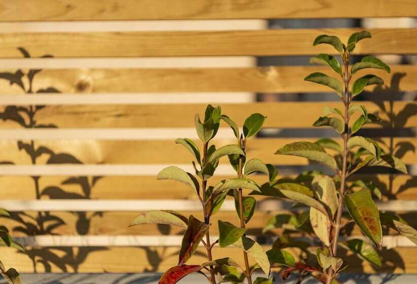 Maryflower Premium Apartments Piraeus