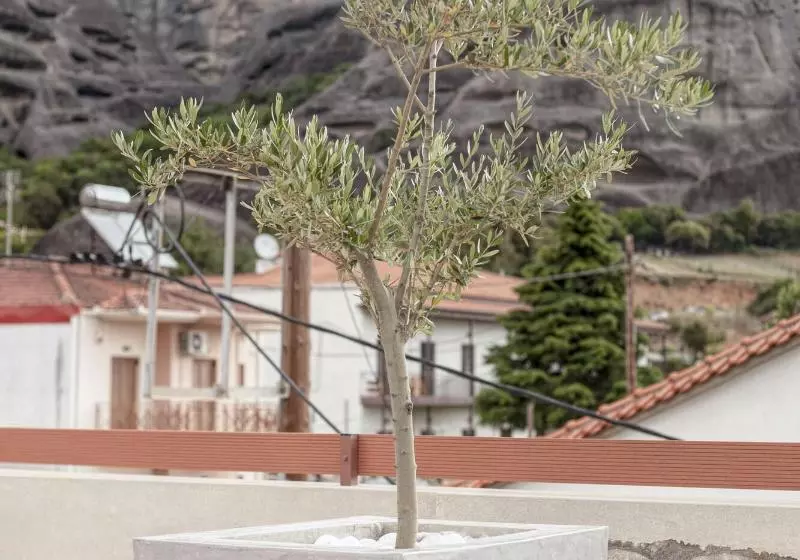 پانسیون Oikia Guesthouse