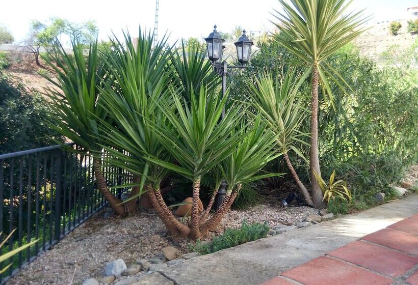 مبيت وإفطار Casa Colina