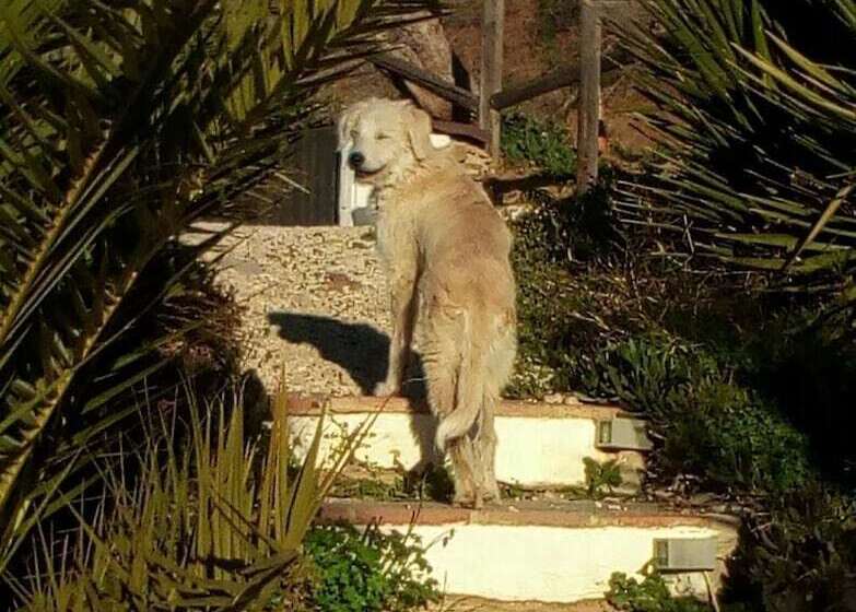 مبيت وإفطار Casa Colina