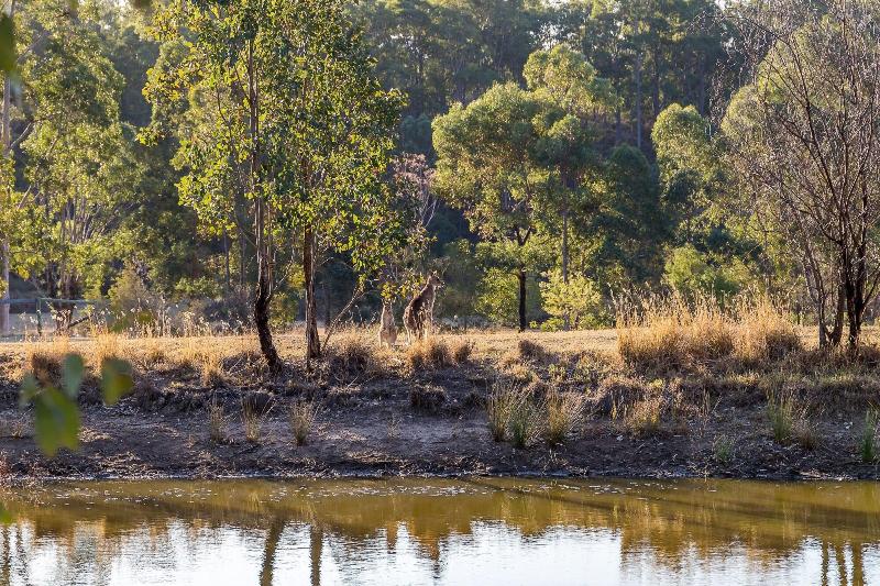 פנסיון Brokenback Views Country Estate