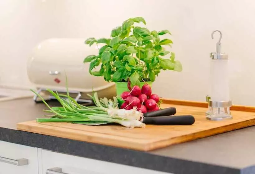 Stadthaus Regensburg