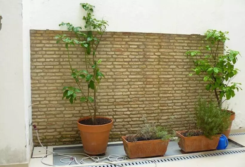 Alfaqueque Apartment