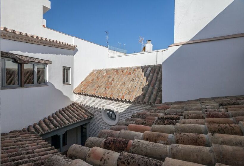 Casas De Sevilla   Apartamentos Tintes12