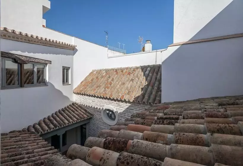 Casas De Sevilla   Apartamentos Tintes12