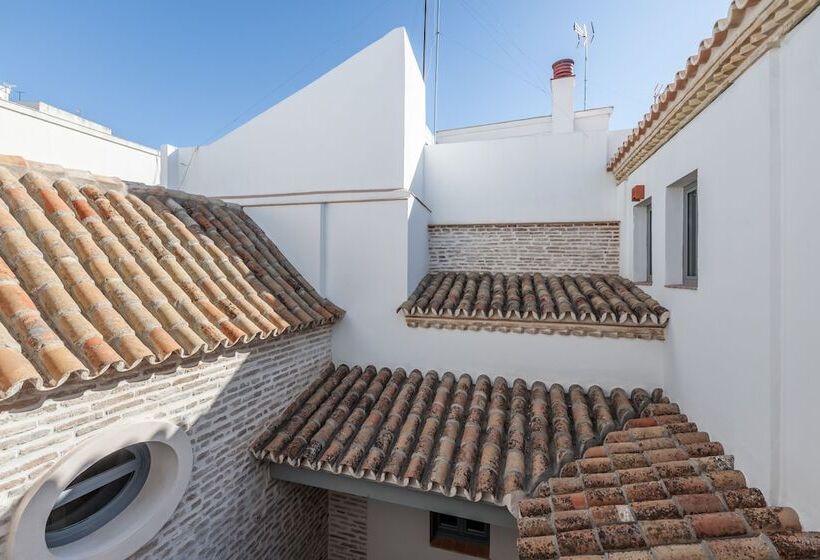 Casas De Sevilla   Apartamentos Tintes12