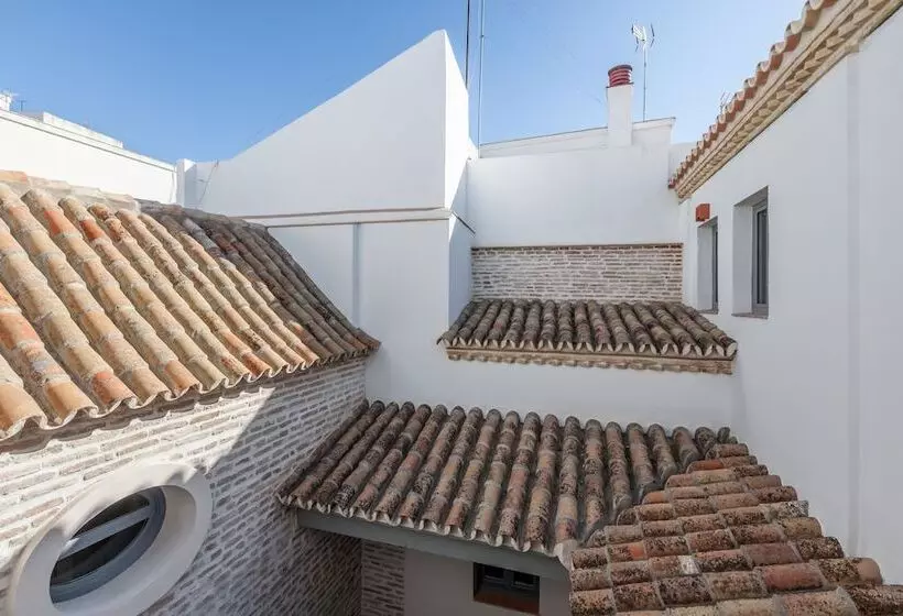 Casas De Sevilla   Apartamentos Tintes12