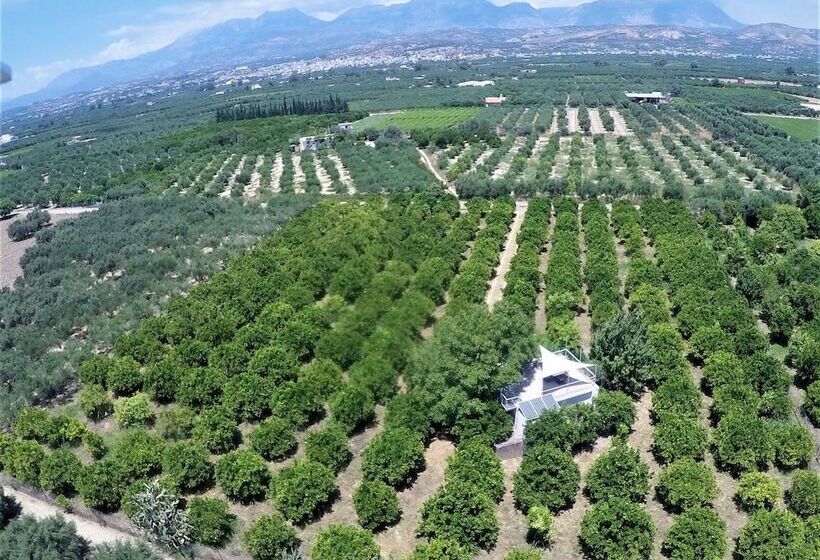 Farm House In Bio Orange Plantation