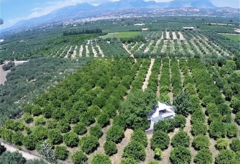 Farm House In Bio Orange Plantation