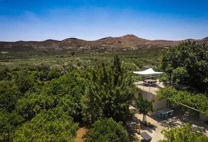 Farm House In Bio Orange Plantation