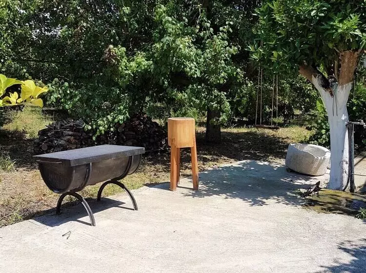 Farm House In Bio Orange Plantation