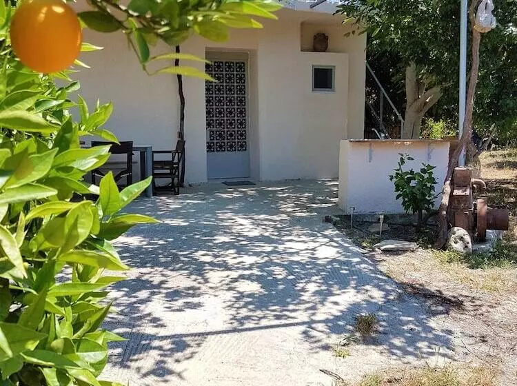 Farm House In Bio Orange Plantation
