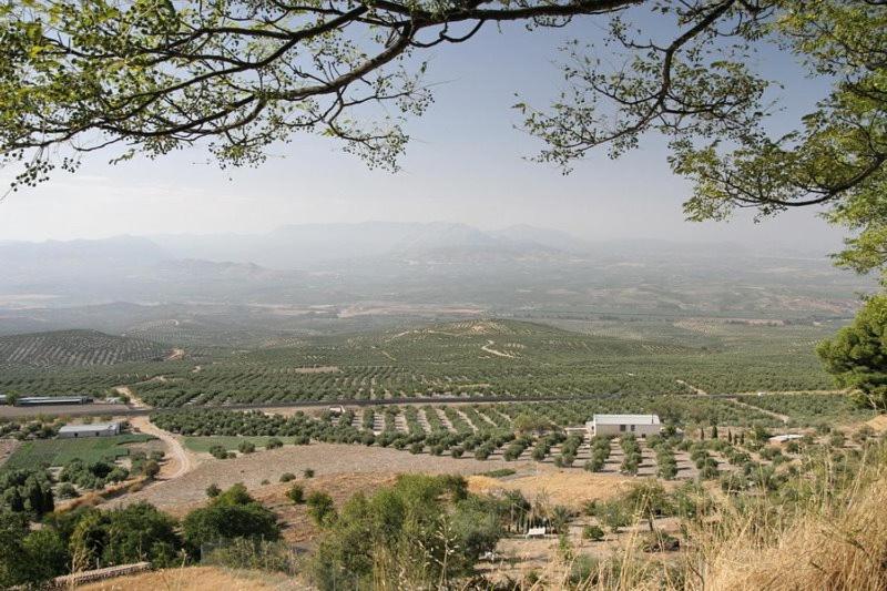 Ventana Del Guadalquivir
