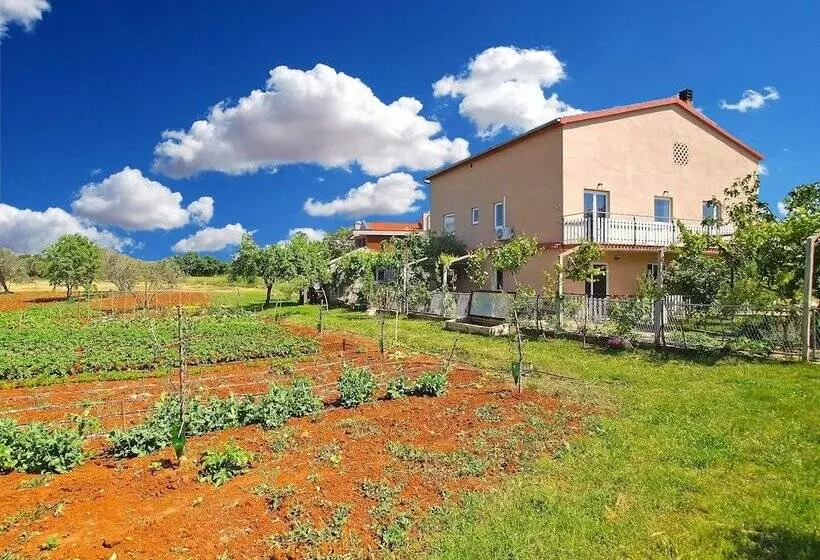 Apartment Aleksander 968