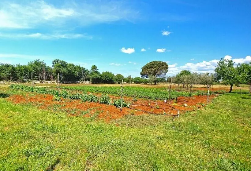 Apartment Aleksander 968