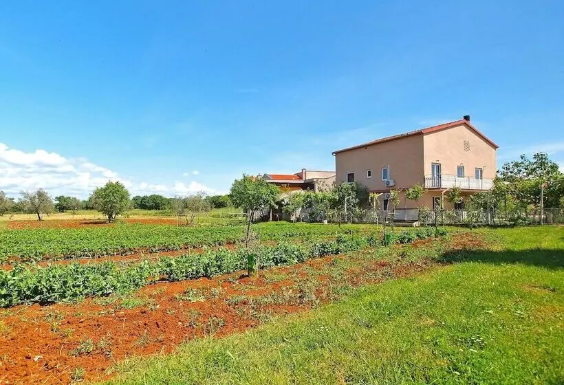 Apartment Aleksander 968