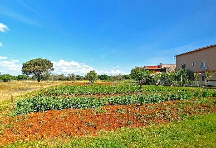 Apartment Aleksander 968