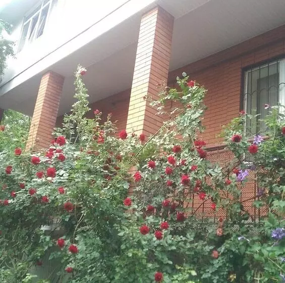 Guest House On Griboedovsky 27a   Hostel