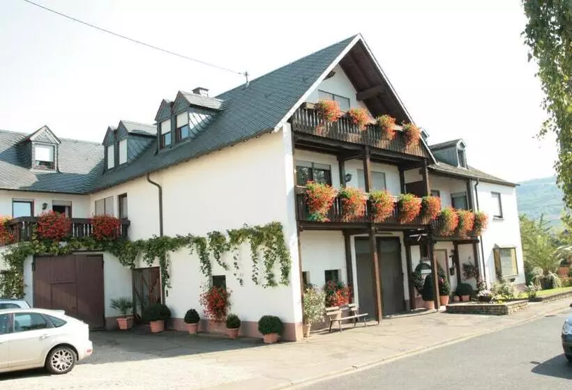 Weingutpension Günther Scholtes