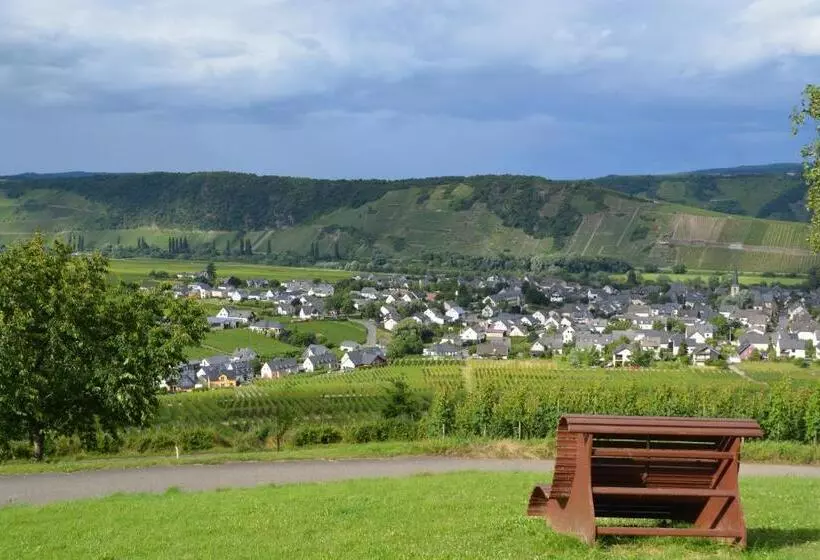 Weingutpension Günther Scholtes