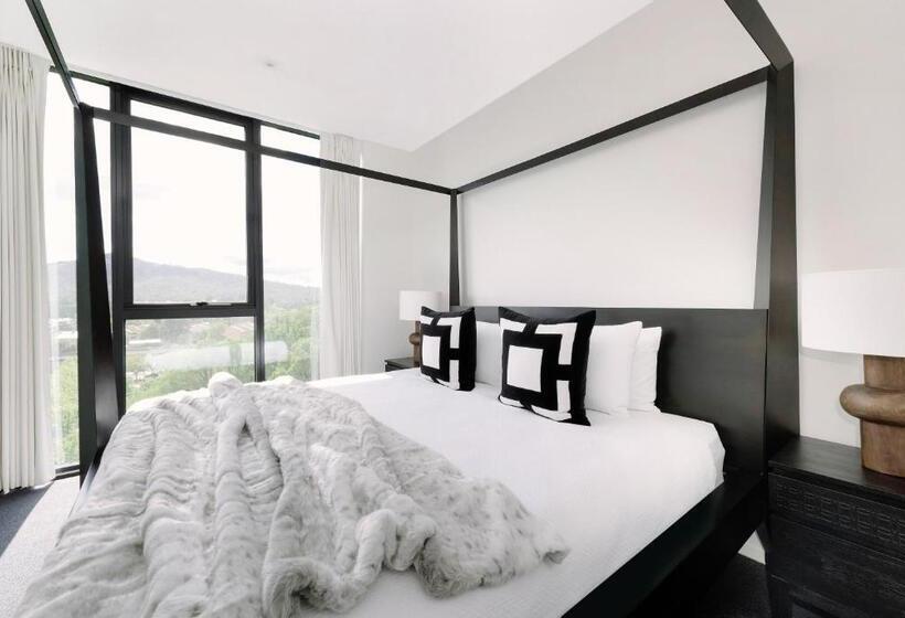 Birch Apartments In The City