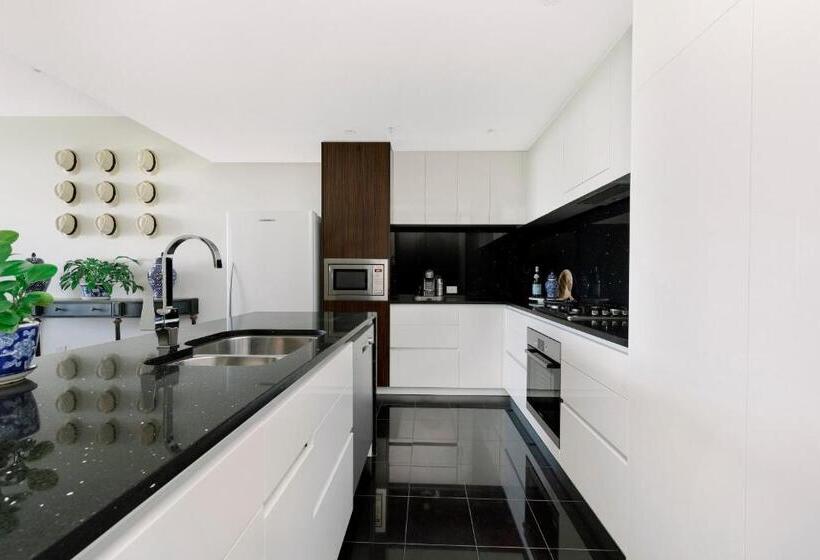 Birch Apartments In The City