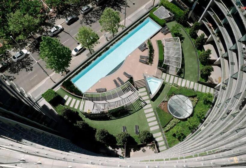 Birch Apartments In The City