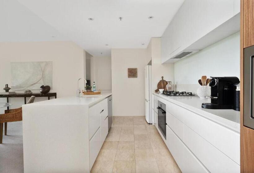 Birch Apartments In The City