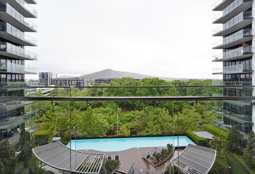 Birch Apartments In The City