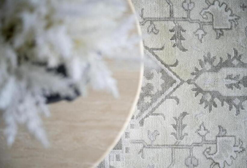 Birch Apartments In The City