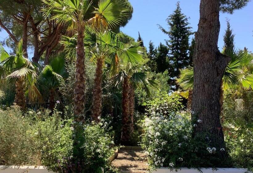 پانسیون Kasbah Andaluz Guest House