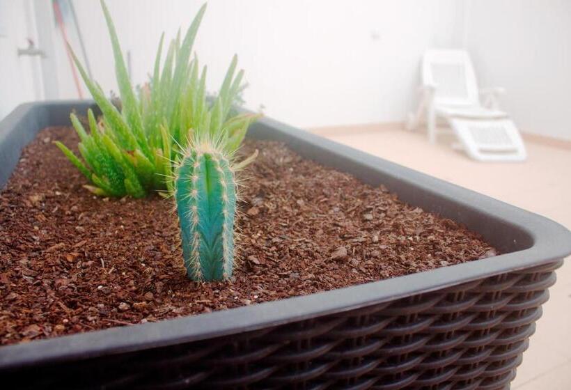 Saudade Peniche Apartment