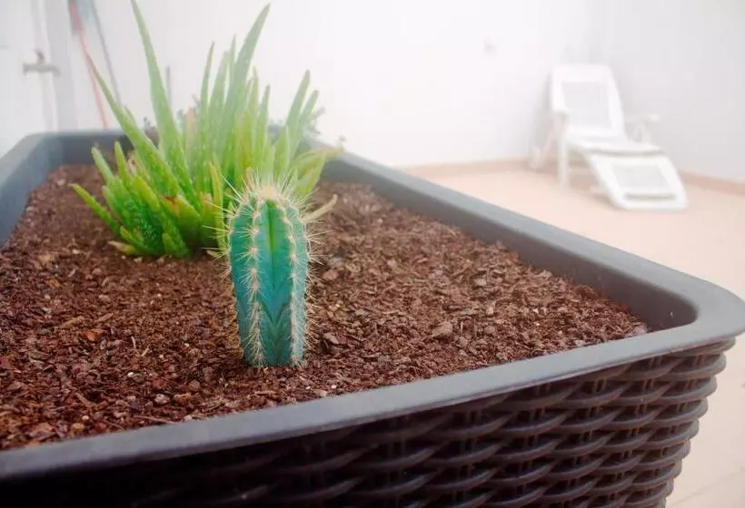 Saudade Peniche Apartment