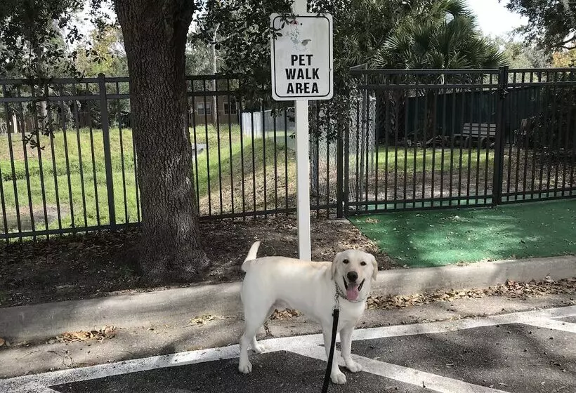 Holiday Inn Resort Orlando   Lake Buena Vista, An Ihg