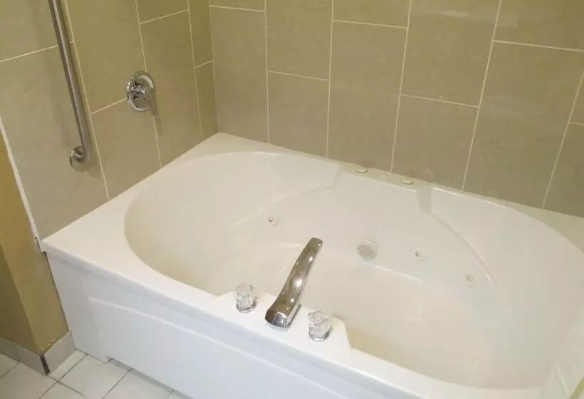 Best Western Plaza Hotel Saugatuck