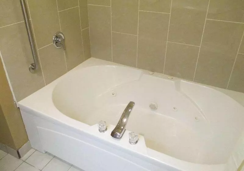 Best Western Plaza Hotel Saugatuck