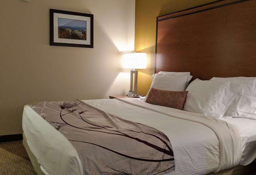 فندق Best Western Bend North