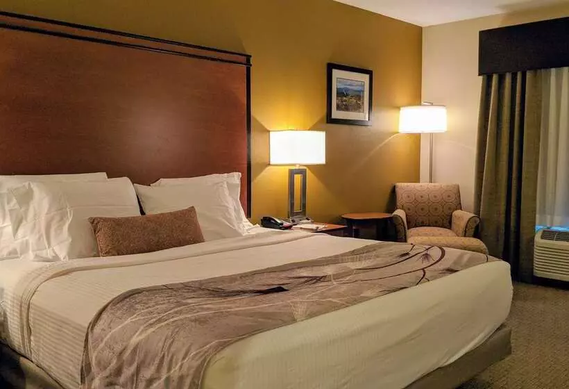 هتل Best Western Bend North