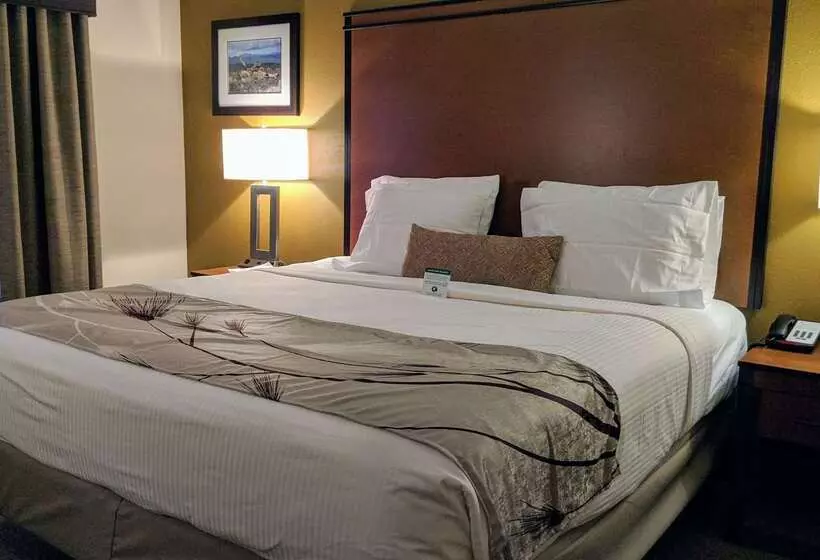 هتل Best Western Bend North