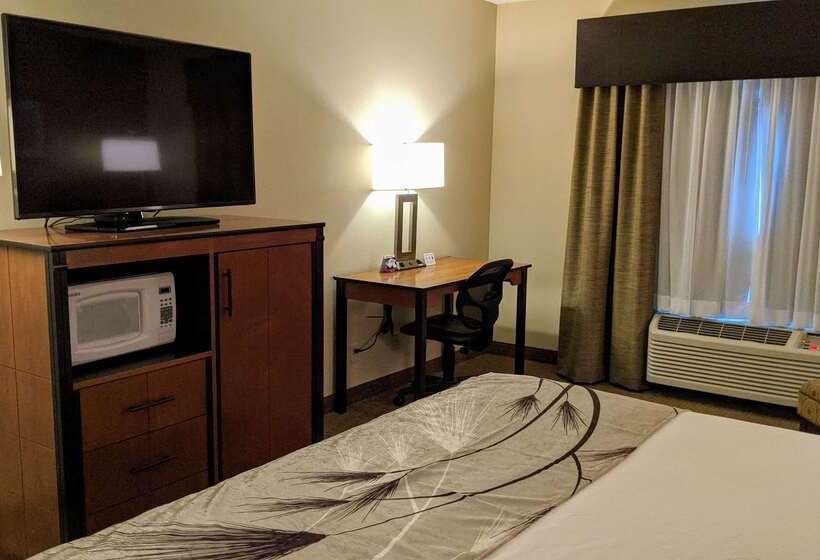 فندق Best Western Bend North