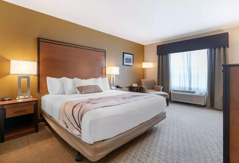 هتل Best Western Bend North