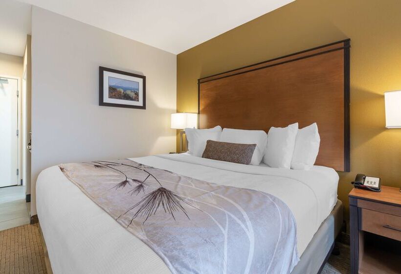 فندق Best Western Bend North