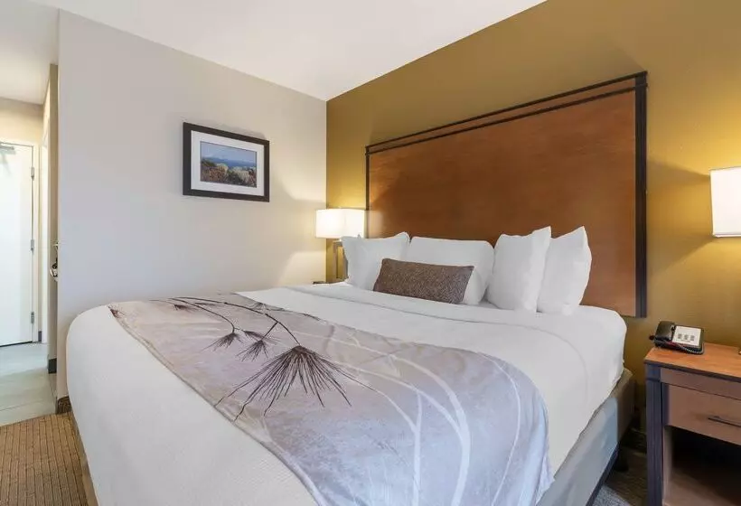 هتل Best Western Bend North