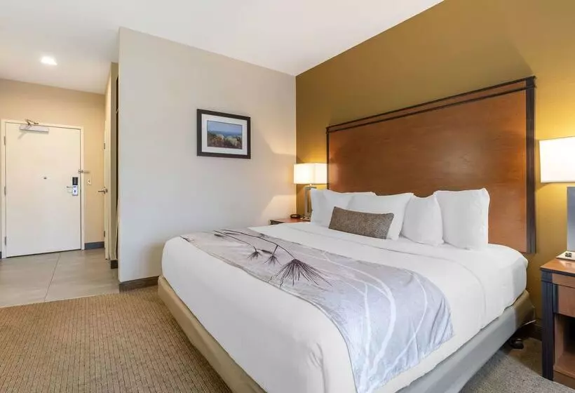 هتل Best Western Bend North