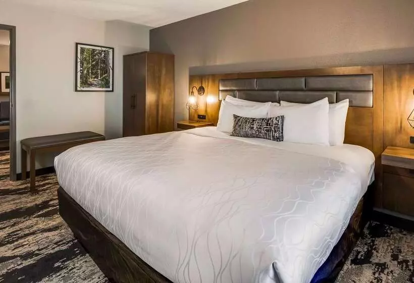 Best Western Plus Bourbonnais Hotel & Suites