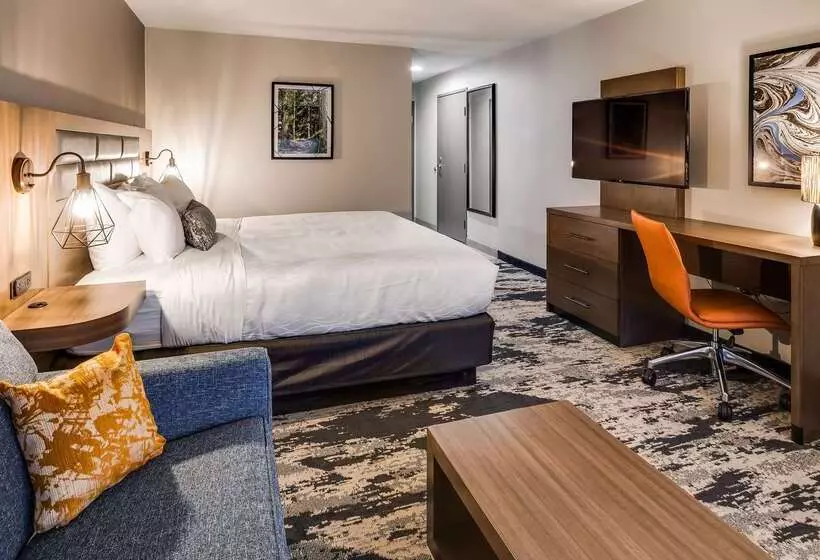 Best Western Plus Bourbonnais Hotel & Suites