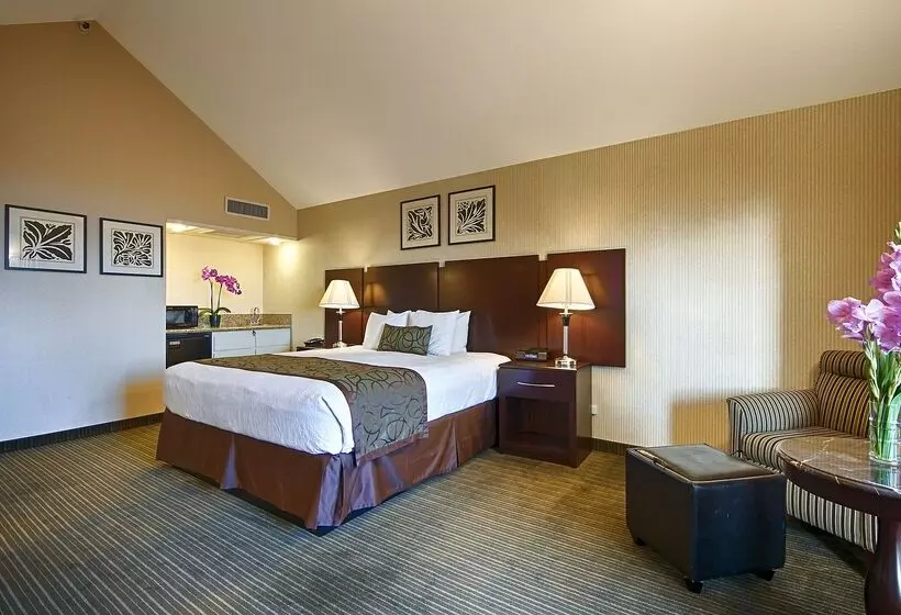 호텔 Best Western Plus Dana Point Inn By The Sea