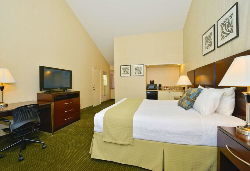 酒店 Best Western Plus Dana Point Inn By The Sea