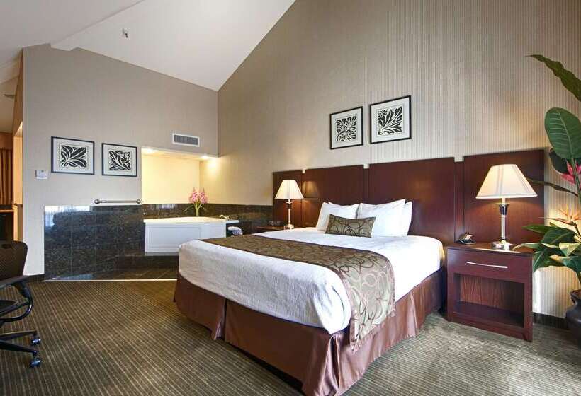 酒店 Best Western Plus Dana Point Inn By The Sea