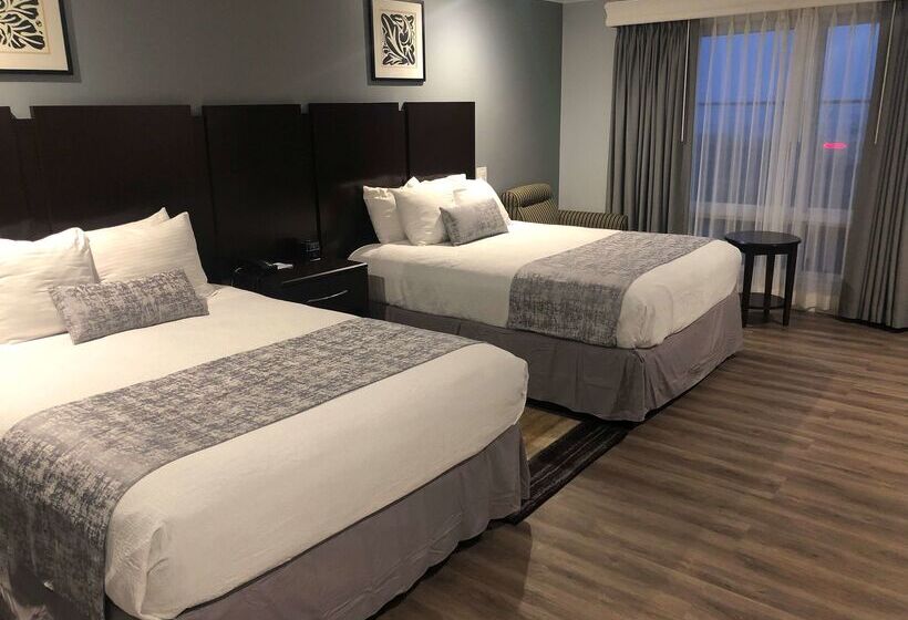 酒店 Best Western Plus Dana Point Inn By The Sea